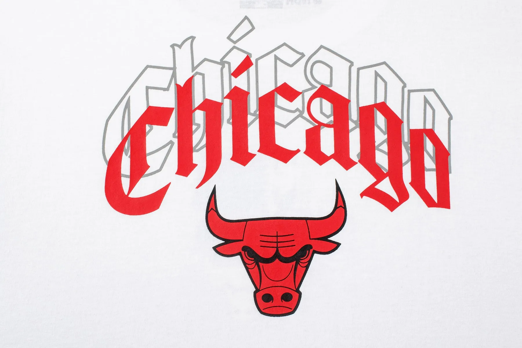 NBA Back Arch Print Long Fit T-Shirt - Chicago Bulls